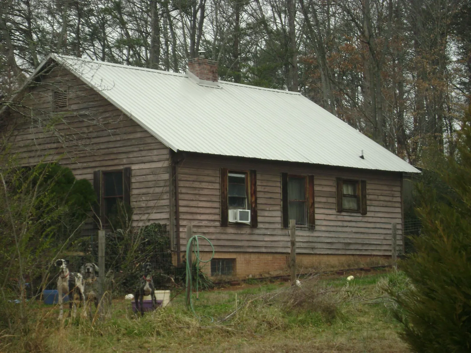 White metal roof on an old wood sided farmhouse, from a Asphalt Shingle Roof Repair job in Crab Orchard